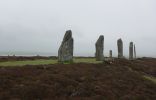 PICTURES/Ring of Brodgar, Standing Stones of Stennes & Maeshowe Cairn/t_Stones1.JPG